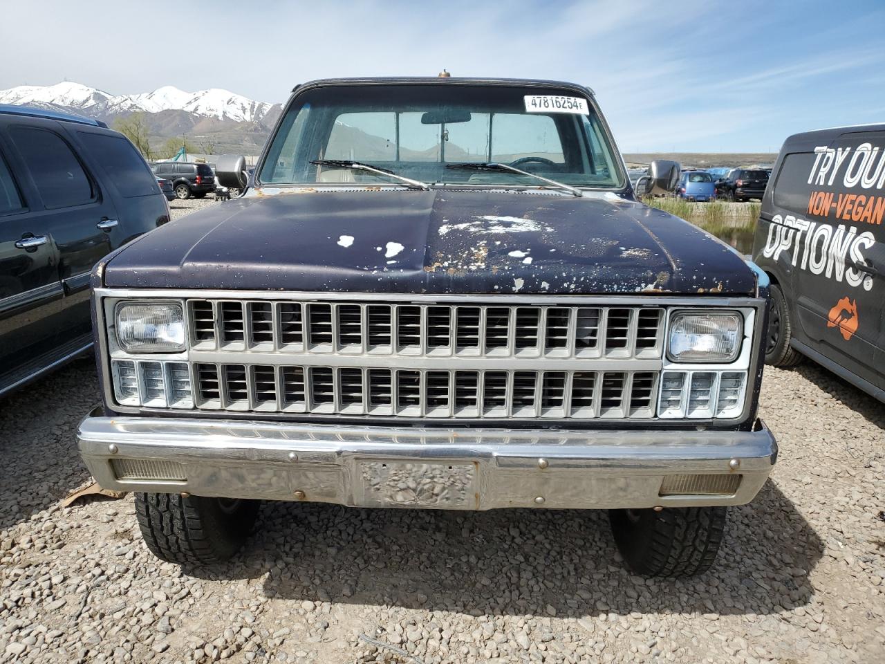 1GCGK24M4CF382486 1982 Chevrolet K20