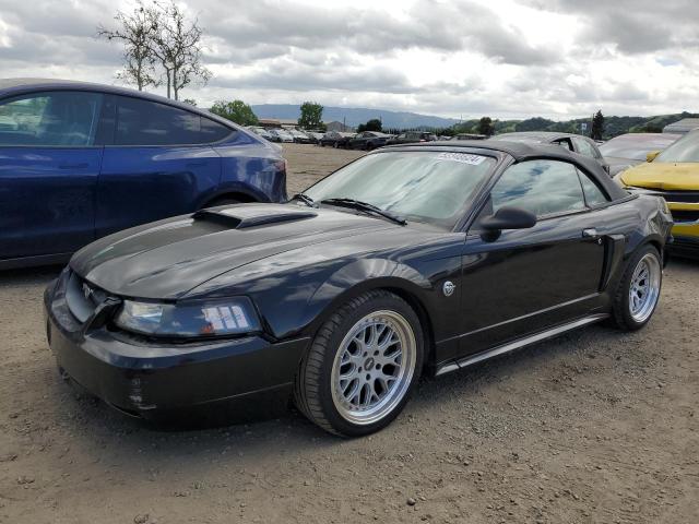 Lot #2540588024 2004 FORD MUSTANG GT salvage car
