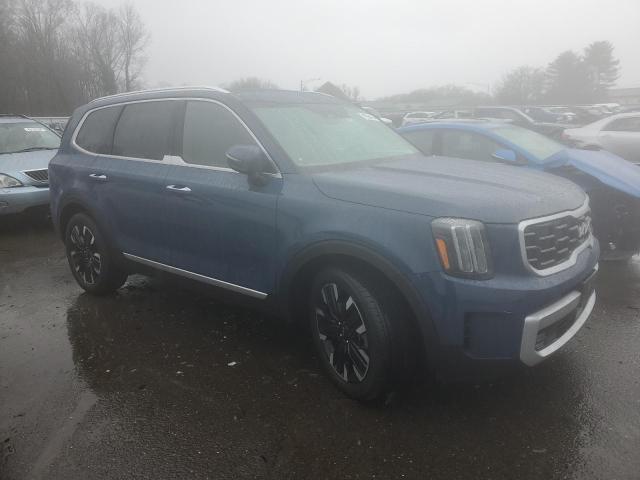 2024 Kia Telluride Sx VIN: 5XYP5DGC4RG419757 Lot: 49294414