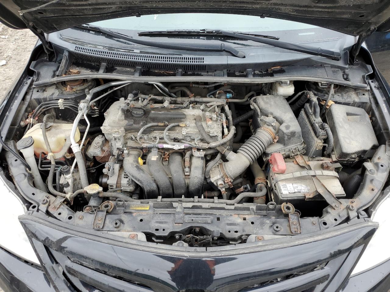 2T1BU4EE4BC695097 2011 Toyota Corolla Base