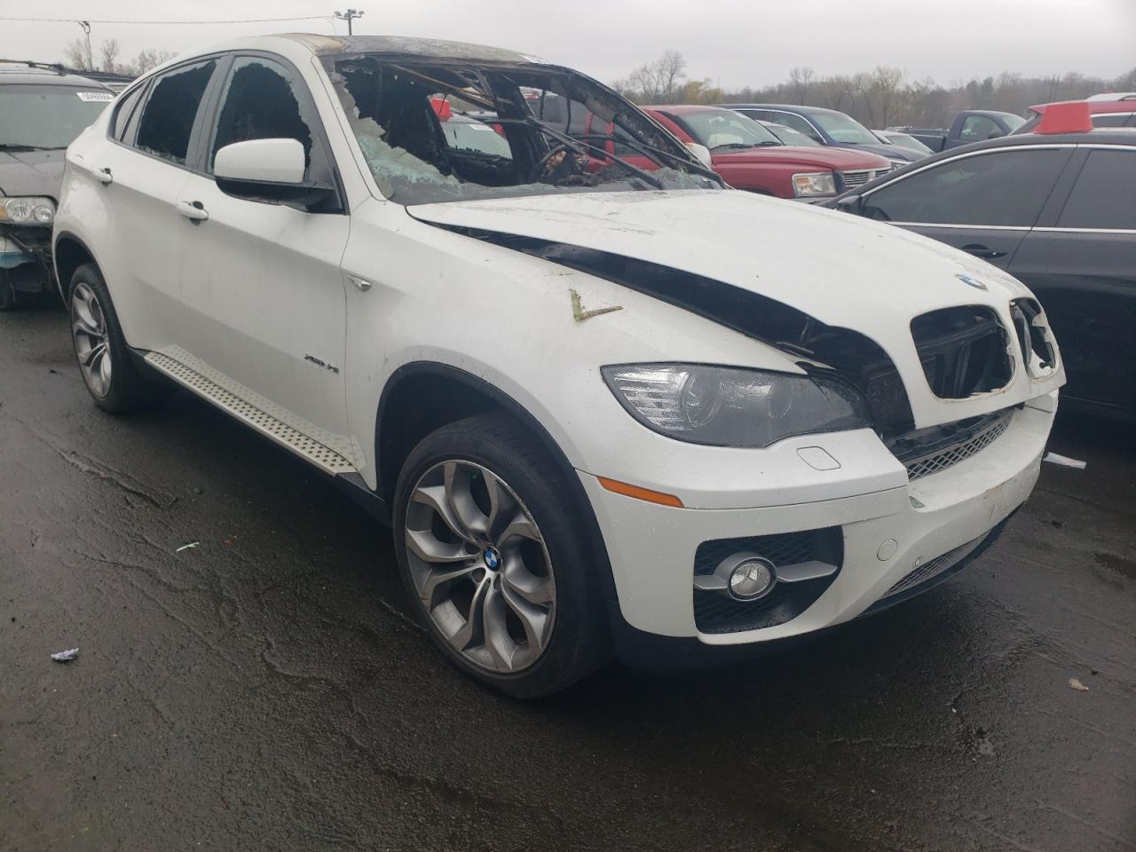 5UXFG8C5XBLZ96435 2011 BMW X6 xDrive50I