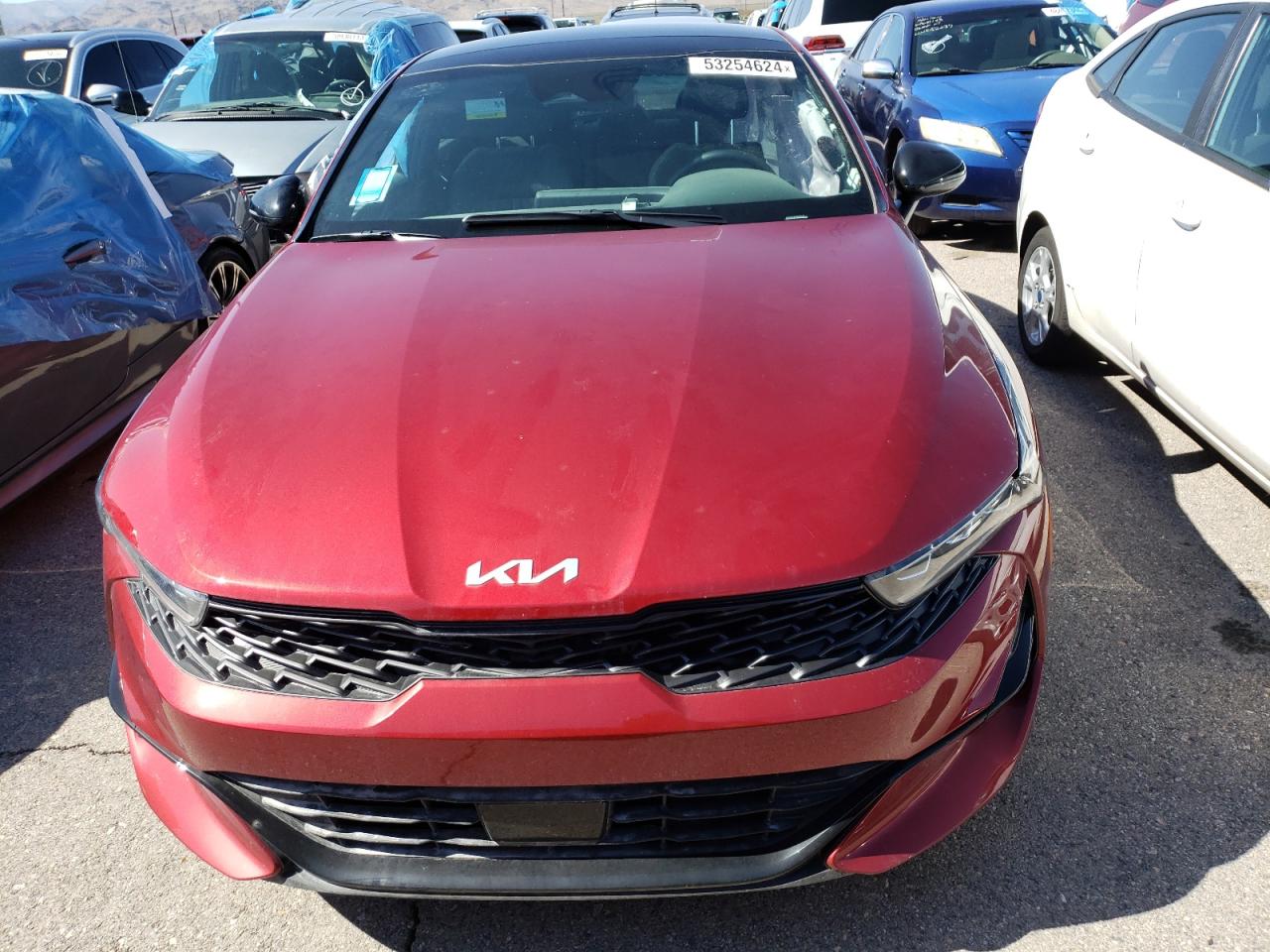 5XXG64J24RG254679 2024 Kia K5 Gt Line