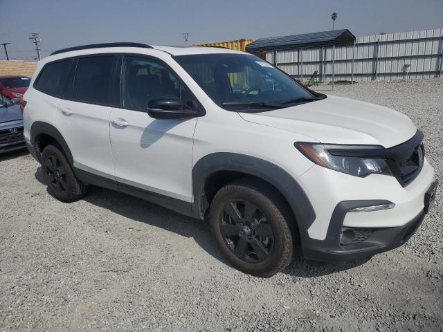 2022 HONDA PILOT TRAI 5FNYF6H80NB077586
