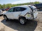 HONDA CR-V EX photo