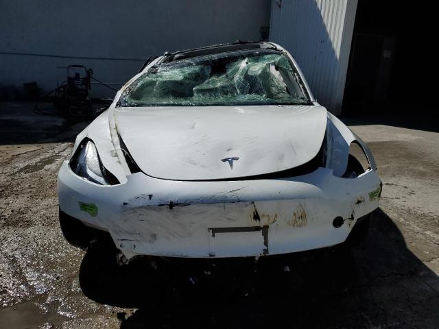 2023 TESLA MODEL 3 - 5YJ3E1EA7PF447359