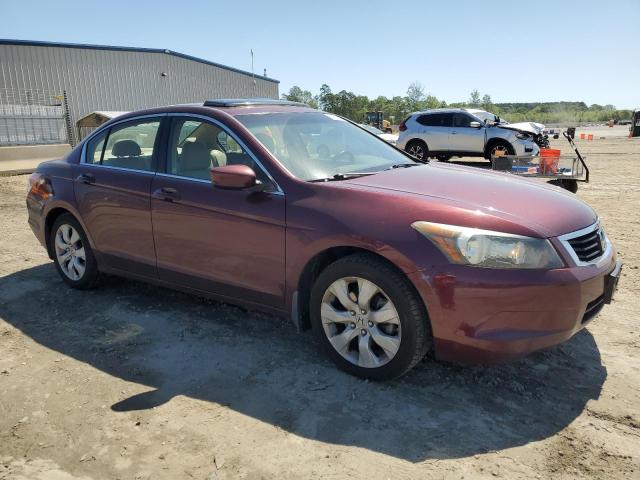 2008 Honda Accord Exl VIN: 1HGCP268X8A120445 Lot: 52533394