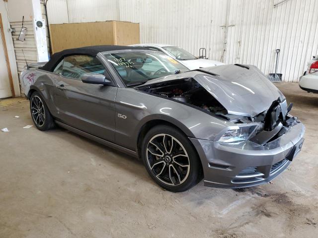 2014 Ford Mustang Gt VIN: 1ZVBP8FF7E5304187 Lot: 51746764