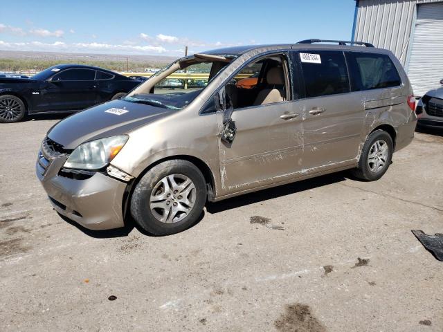 2006 Honda Odyssey Ex VIN: 5FNRL38446B459131 Lot: 49061244