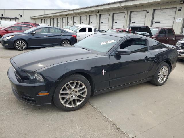 2013 Ford Mustang VIN: 1ZVBP8AM7D5251172 Lot: 48249174