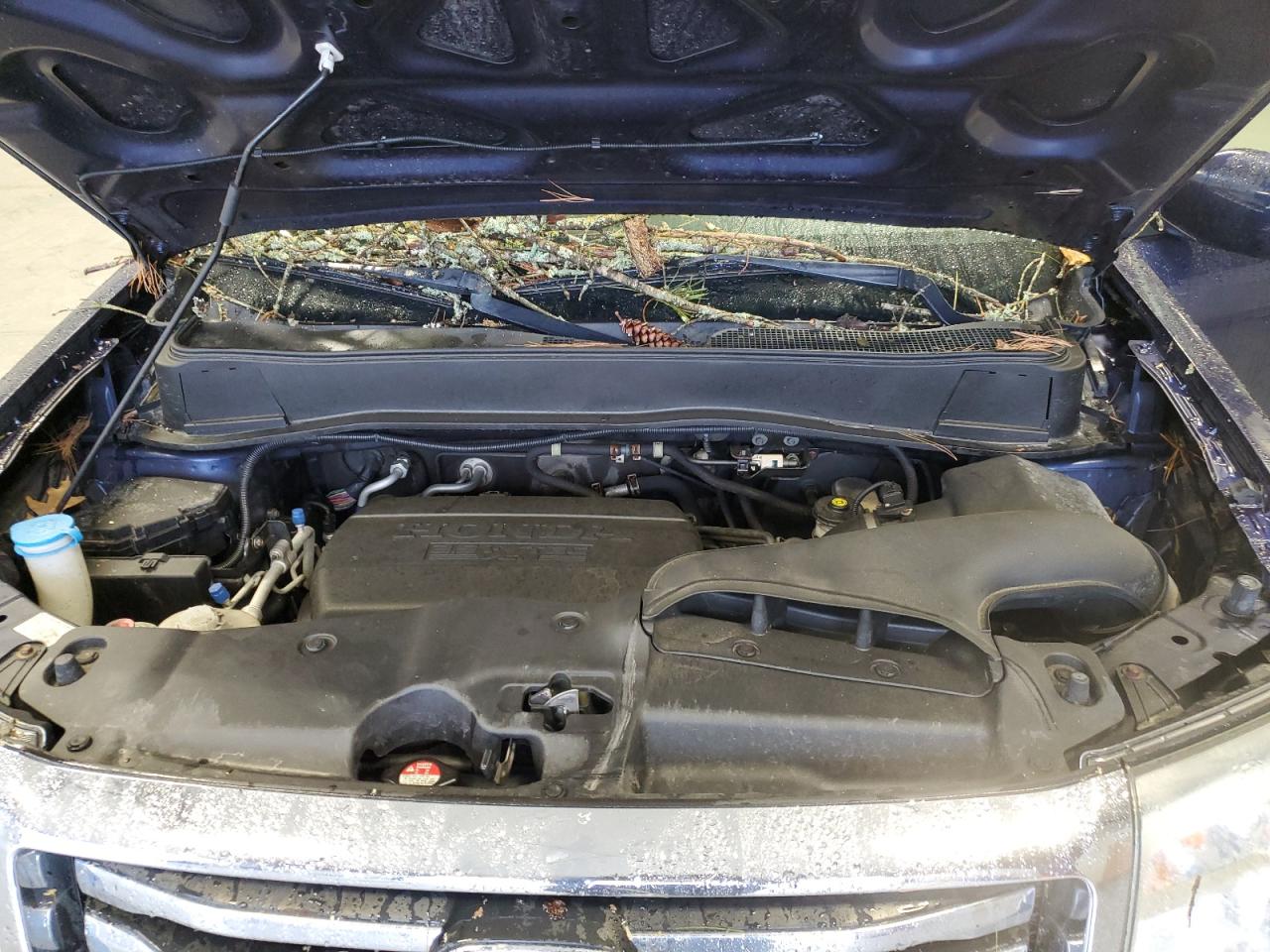 5FNYF4H95DB024684 2013 Honda Pilot Touring