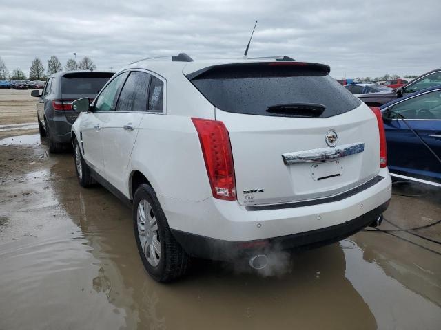 2010 CADILLAC SRX LUXURY 3GYFNAEY0AS650161  49212104