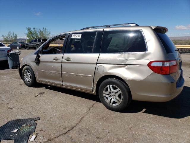 2006 Honda Odyssey Ex VIN: 5FNRL38446B459131 Lot: 49061244