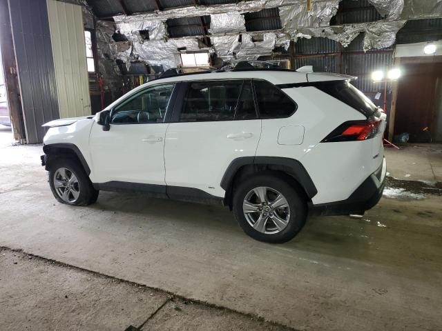 Lot #2457115542 2023 TOYOTA RAV4 XLE salvage car