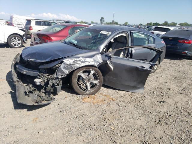 2010 Acura Tl VIN: 19UUA8F51AA024739 Lot: 51737644