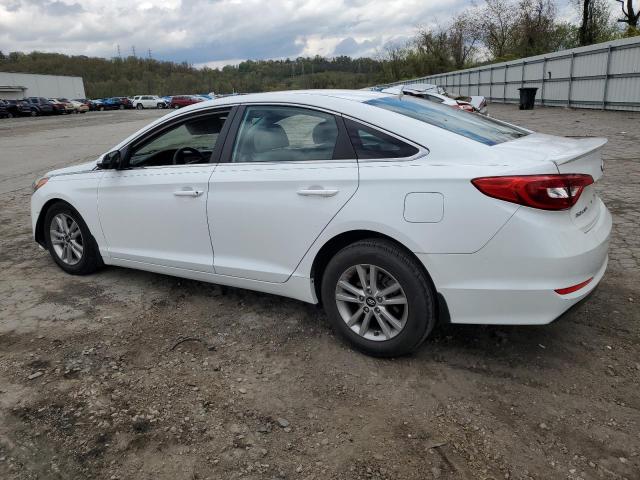 2015 Hyundai Sonata Eco VIN: 5NPE24AA6FH116569 Lot: 52404464