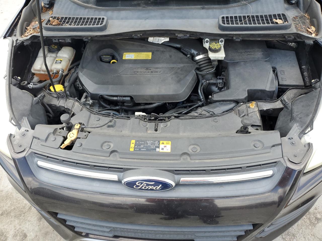 1FMCU0GX9DUB13105 2013 Ford Escape Se 1FMCU0GX9DUB13105 2013 Ford Escape Se