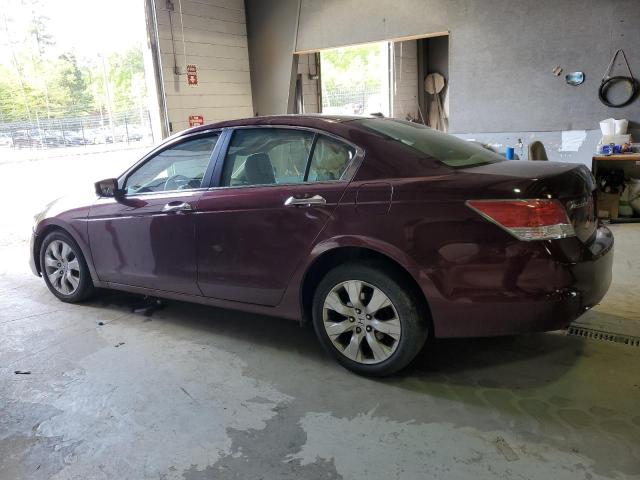 2009 Honda Accord Exl VIN: 1HGCP36819A045786 Lot: 52289214