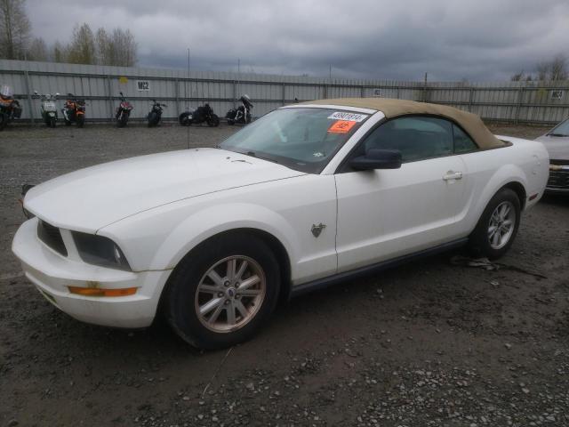 Lot #2446076431 2009 FORD MUSTANG salvage car
