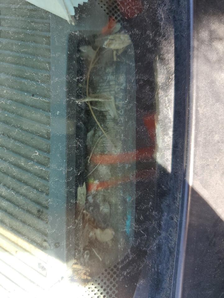 1GCEK14K2PE158449 1993 Chevrolet Gmt-400 K1500