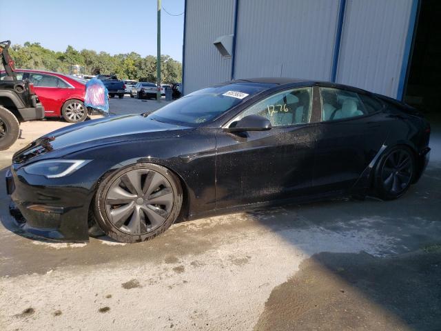 2023 Tesla Model S VIN: 5YJSA1E52PF526156 Lot: 50529934