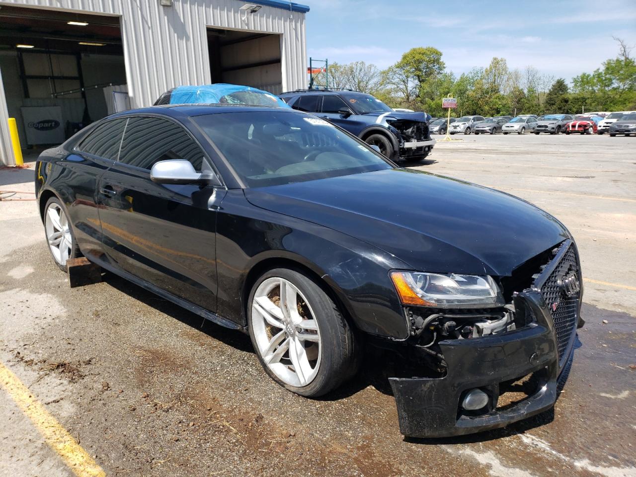 Lot #2621846727 2010 AUDI S5 PRESTIG