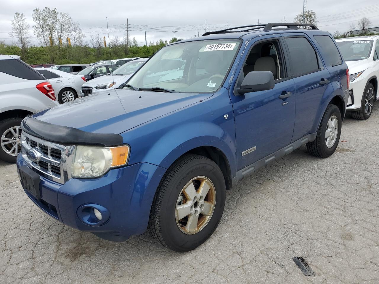 Lot #2517386873 2008 FORD ESCAPE XLT