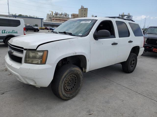 Lot #2510266951 2009 CHEVROLET TAHOE K150 salvage car