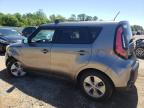 KIA SOUL photo