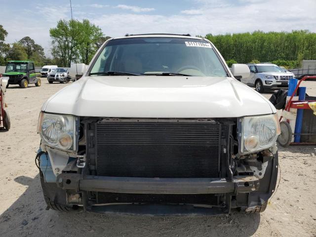 2010 Ford Escape Limited VIN: 1FMCU0E79AKC31262 Lot: 51171994