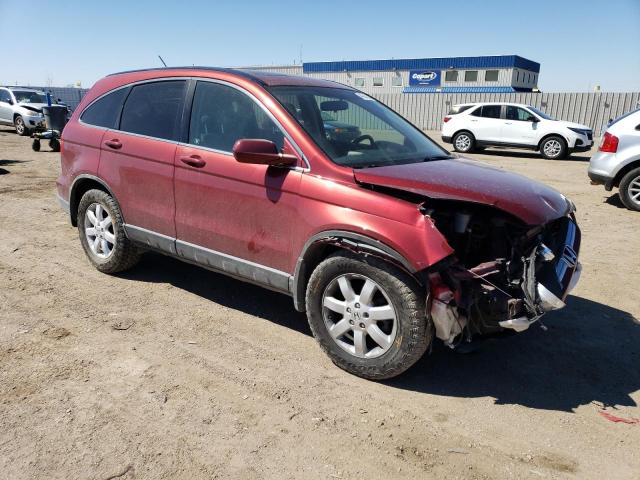 2007 Honda Cr-V Exl VIN: JHLRE38797C050886 Lot: 49631244