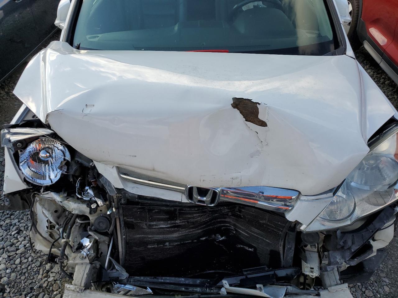 5J6RE48759L028125 2009 Honda Cr-V Exl