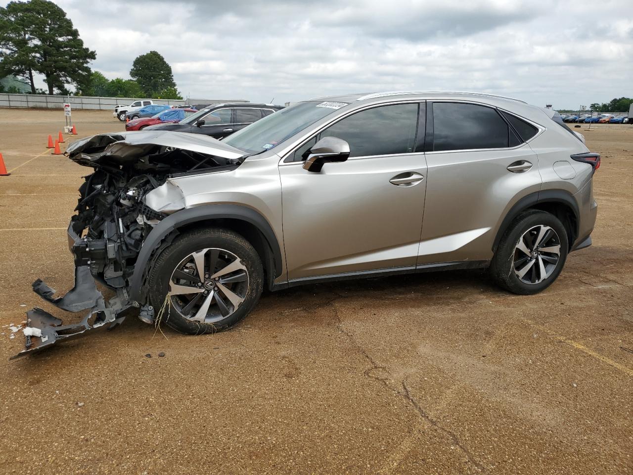 2020 Lexus Nx 300 vin: JTJGARBZ4L2174431