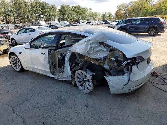 2021 Tesla Model 3 VIN: 5YJ3E1EA6MF978726 Lot: 51531874