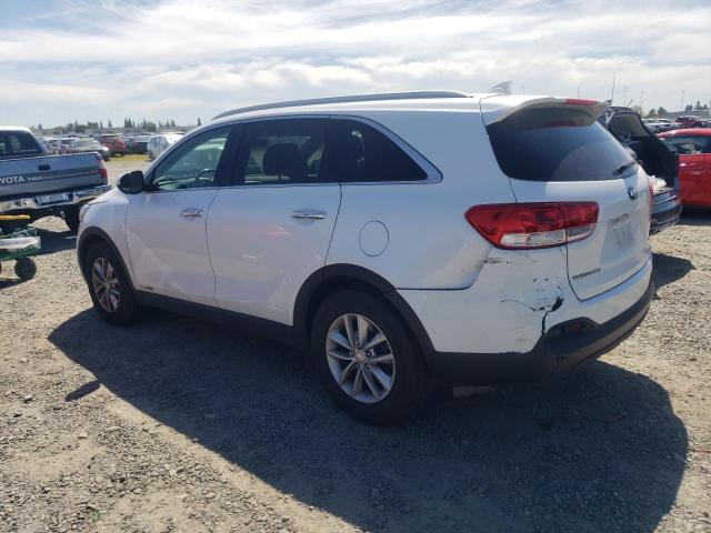 2017 Kia Sorento Lx VIN: 5XYPGDA51HG204596 Lot: 51445994