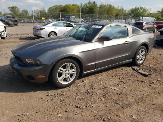 Lot #2503623974 2010 FORD MUSTANG salvage car