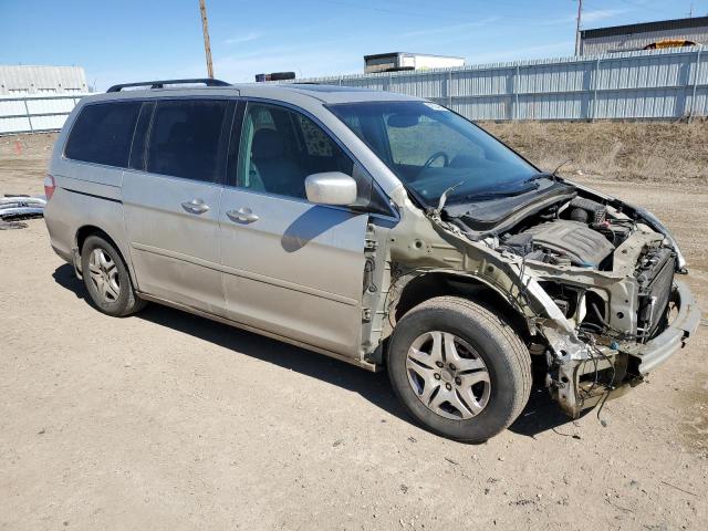 2005 Honda Odyssey Touring VIN: 5FNRL38865B057242 Lot: 49354964