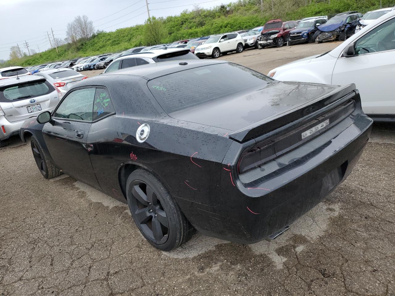 Lot #2496872384 2010 DODGE CHALLENGER