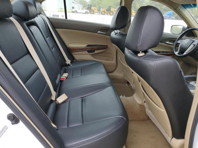 2009 Honda Accord Exl VIN: 1HGCP26899A005773 Lot: 50223594