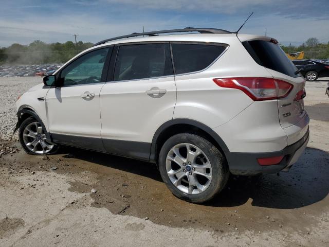 2013 Ford Escape Sel VIN: 1FMCU9HX7DUD95165 Lot: 52524284