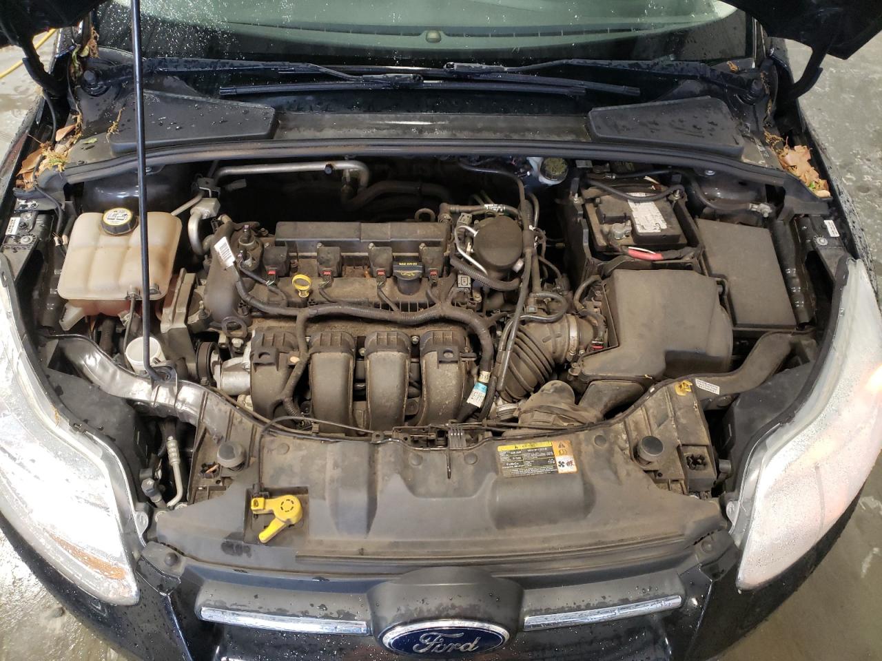 1FADP3K23DL180713 2013 Ford Focus Se