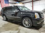 Lot #3004204898 2014 CADILLAC ESCALADE E