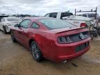 FORD MUSTANG photo