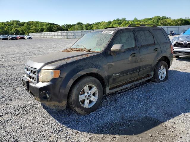 Lot #2491983029 2009 FORD ESCAPE HYB salvage car