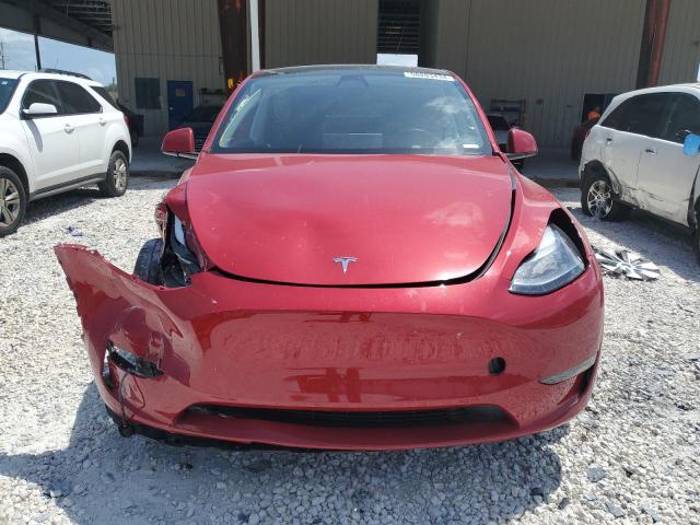 2023 Tesla Model Y VIN: 7SAYGAEE7PF772549 Lot: 50203434