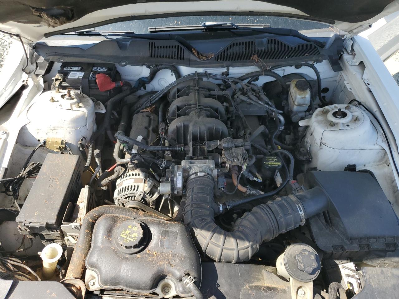 1ZVBP8EN3A5170233 2010 Ford Mustang