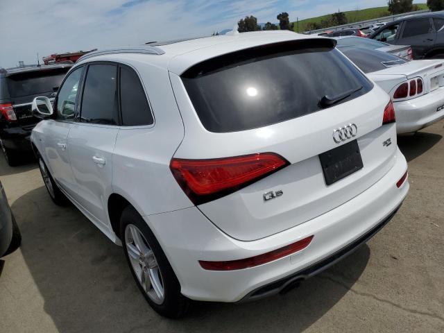 VIN WA1WGAFPXDA035073 2013 Audi Q5, Prestige no.2