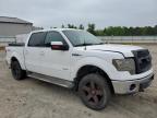 Lot #2928646754 2011 FORD F-150