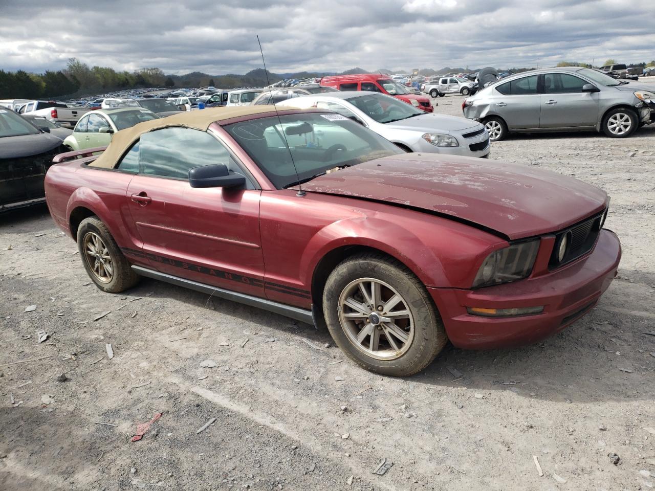 Lot #2461577341 2005 FORD MUSTANG