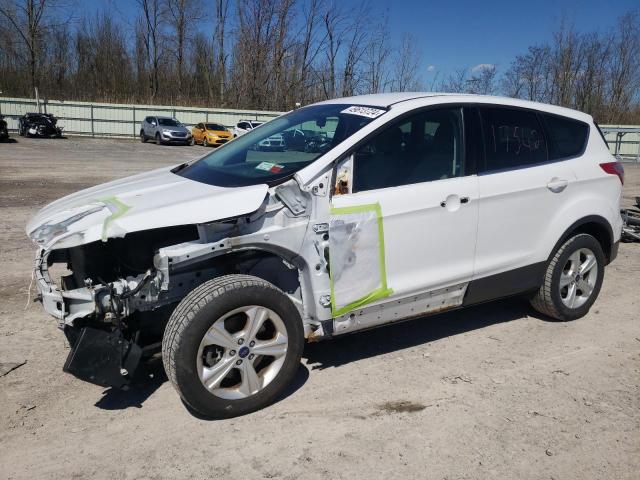 Lot #2473576237 2015 FORD ESCAPE SE salvage car