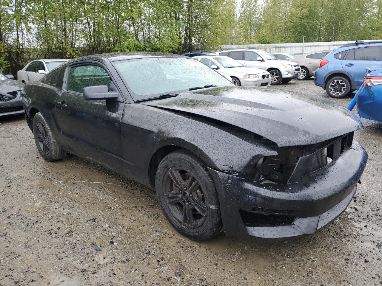 1ZVBP8AM2B5117733 2011 Ford Mustang